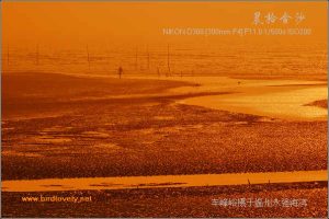 永强的海滨